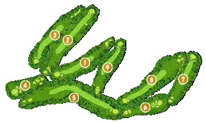 コース全体俯瞰図