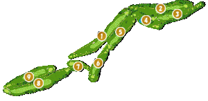 コース全体俯瞰図