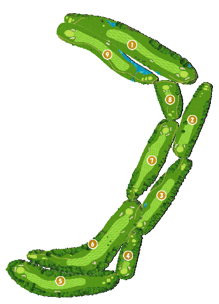 コース全体俯瞰図