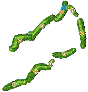 コース全体俯瞰図