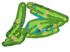コース全体俯瞰図