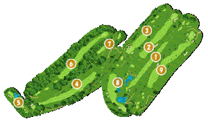 コース全体俯瞰図