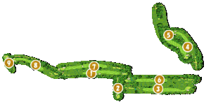 コース全体俯瞰図