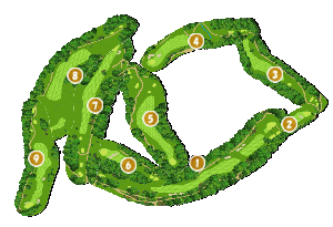 コース全体俯瞰図