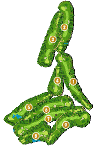 コース全体俯瞰図