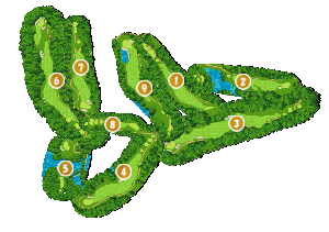 コース全体俯瞰図