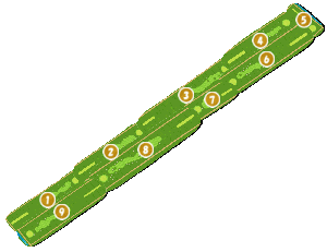 コース全体俯瞰図
