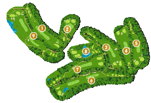 コース全体俯瞰図