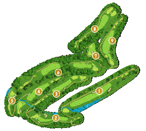 コース全体俯瞰図