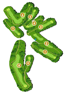 コース全体俯瞰図