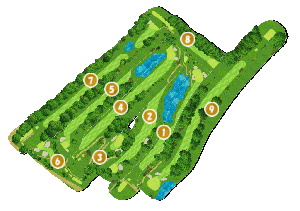 コース全体俯瞰図