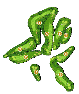 コース全体俯瞰図