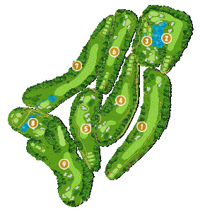 コース全体俯瞰図