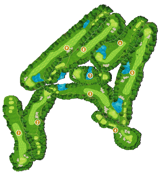 コース全体俯瞰図