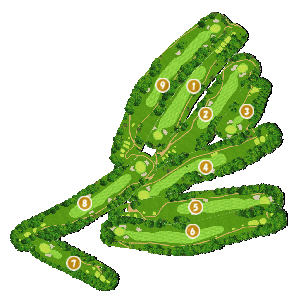 コース全体俯瞰図