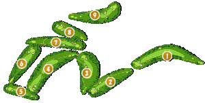 コース全体俯瞰図