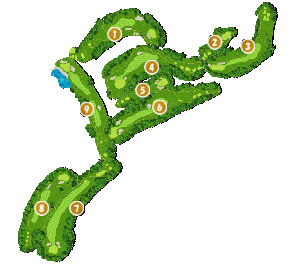 コース全体俯瞰図