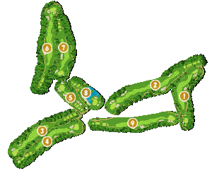 コース全体俯瞰図