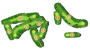 コース全体俯瞰図