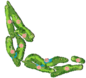 コース全体俯瞰図