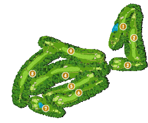 コース全体俯瞰図