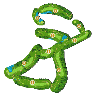 コース全体俯瞰図