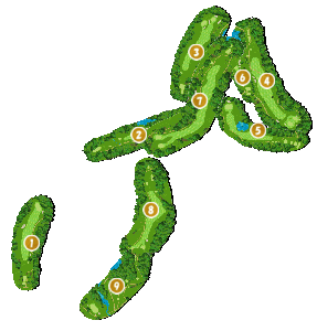 コース全体俯瞰図