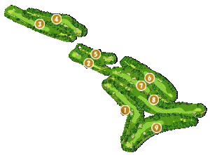 コース全体俯瞰図