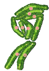 コース全体俯瞰図