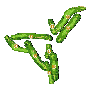 コース全体俯瞰図