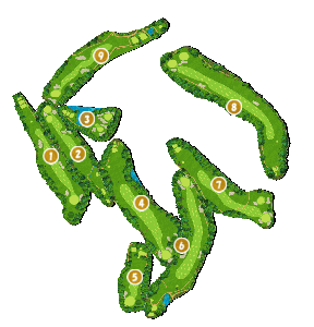 コース全体俯瞰図