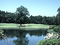 市原京急カントリークラブの写真