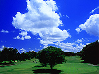 総武カントリークラブ　印旛コースの写真