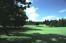 総武カントリークラブ　総武コースの写真