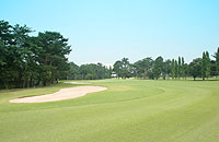 昭和の森ゴルフコース(閉鎖)の写真
