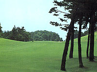 ディアーパークゴルフクラブの写真