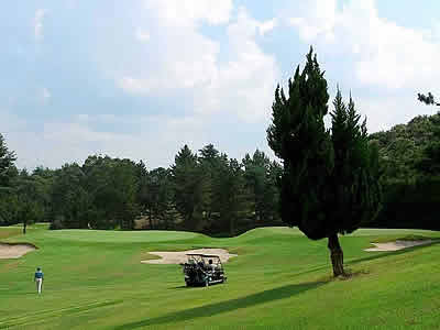 瀬田ゴルフコース 西コースの写真