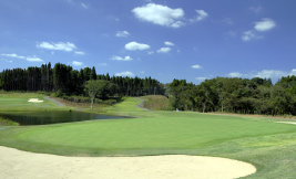 千葉バーディクラブの写真