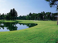 31カントリークラブの写真